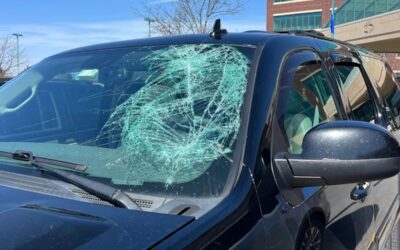 What’s the Real Cost of Windshield Repair in 2025? | Affordable Auto Glass
